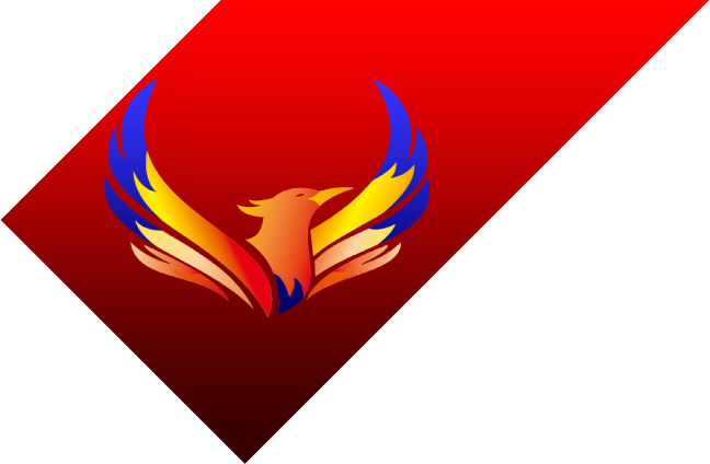 Solidit meyve sebze İthalat İhracat